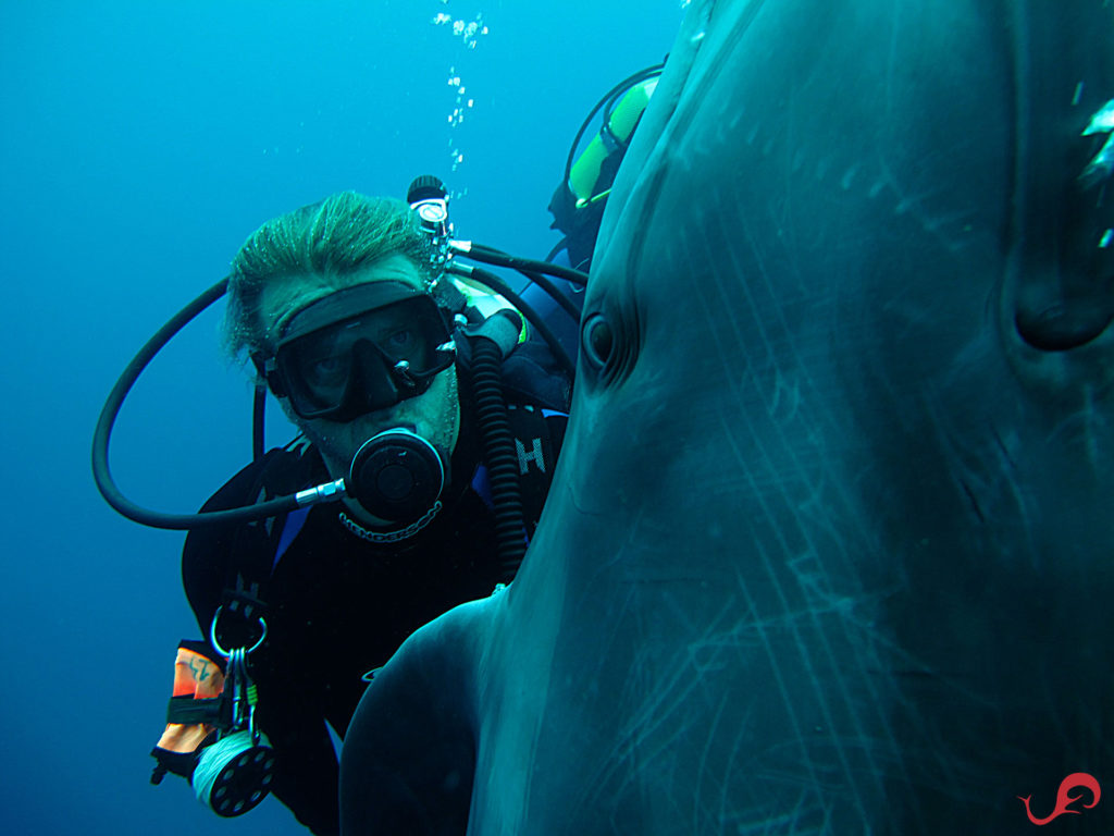 My dive date © Sten Johansson