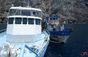 Malpelo liveaboard boats Yemaya and Maria Patricia searching for lost divers