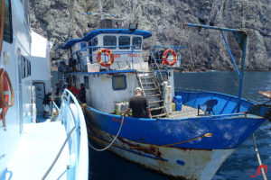 Liveaboard boats operating in Malpelo - Yemaya and Maria Patricia