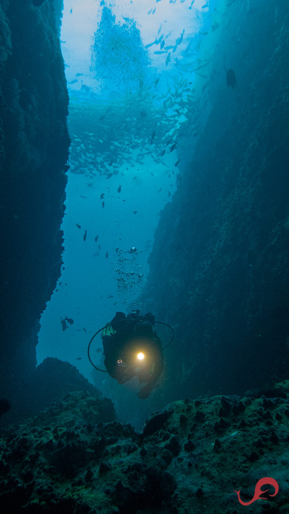 The Cathedral, Malpelo © Sten Johansson