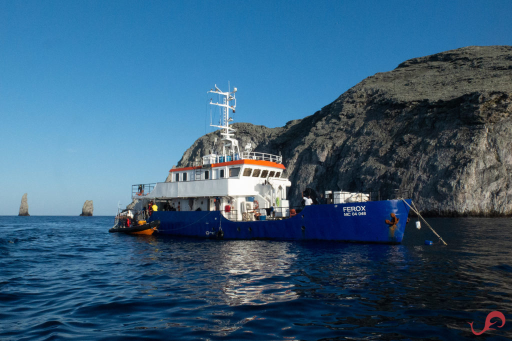 First Malpelo charter onboard Ferox liveaboard © Sten Johansson