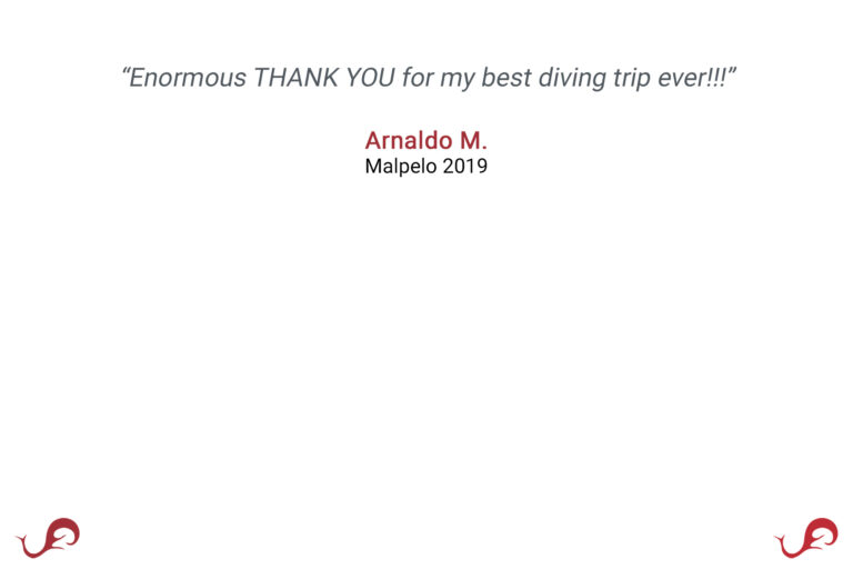 “Enormous THANK YOU for my best diving trip ever!!!​” - Arnaldo M., Malpelo 2019