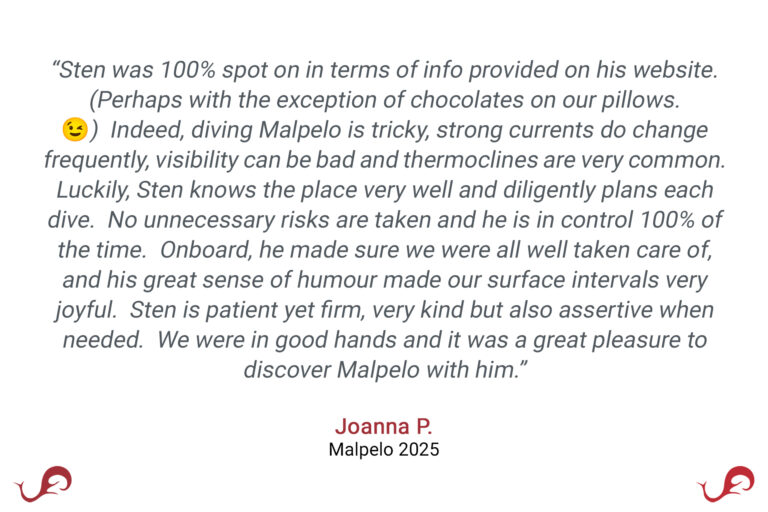 “Sten was 100% spot on in terms of info provided on his website. (Perhaps with the exception of chocolates on our pillows. 😉) Indeed, diving Malpelo is tricky, strong currents do change frequently, visibility can be bad and thermoclines are very common. Luckily, Sten knows the place very well and diligently plans each dive. No unnecessary risks are taken and he is in control 100% of the time. Onboard, he made sure we were all well taken care of, and his great sense of humour made our surface intervals very joyful. Sten is patient yet firm, very kind but also assertive when needed. We were in good hands and it was a great pleasure to discover Malpelo with him.” - Joanna P., Malpelo 2025