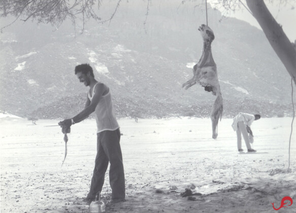 Lunchtime © Sten Johansson